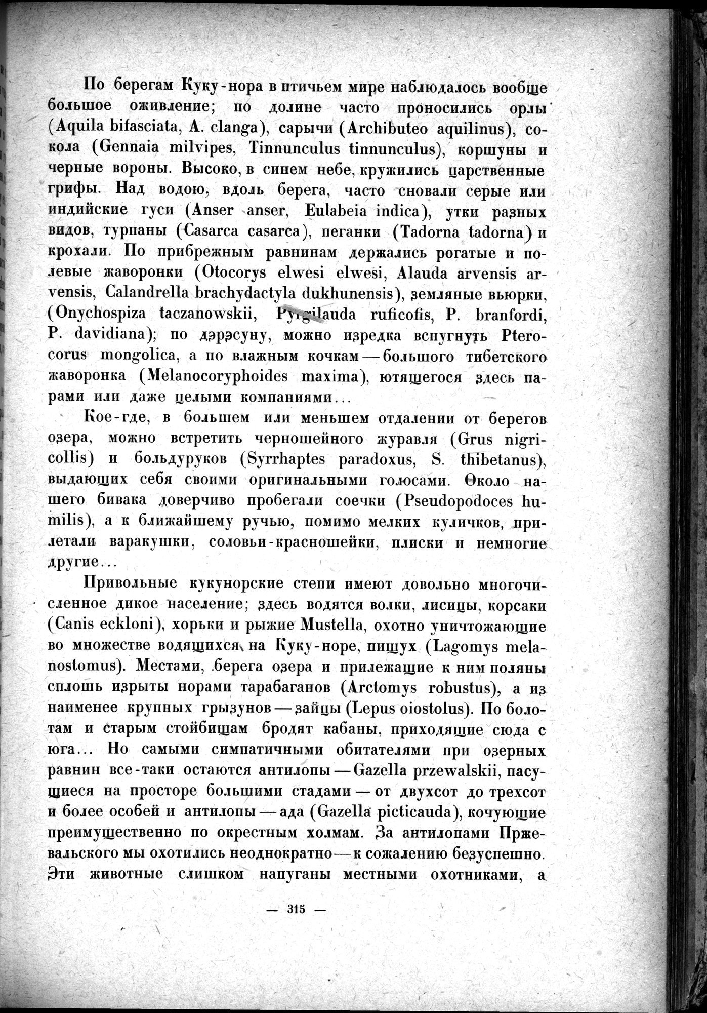 Mongoliya i Amdo i mertby gorod Khara-Khoto : vol.1 / 365 ページ（白黒高解像度画像）