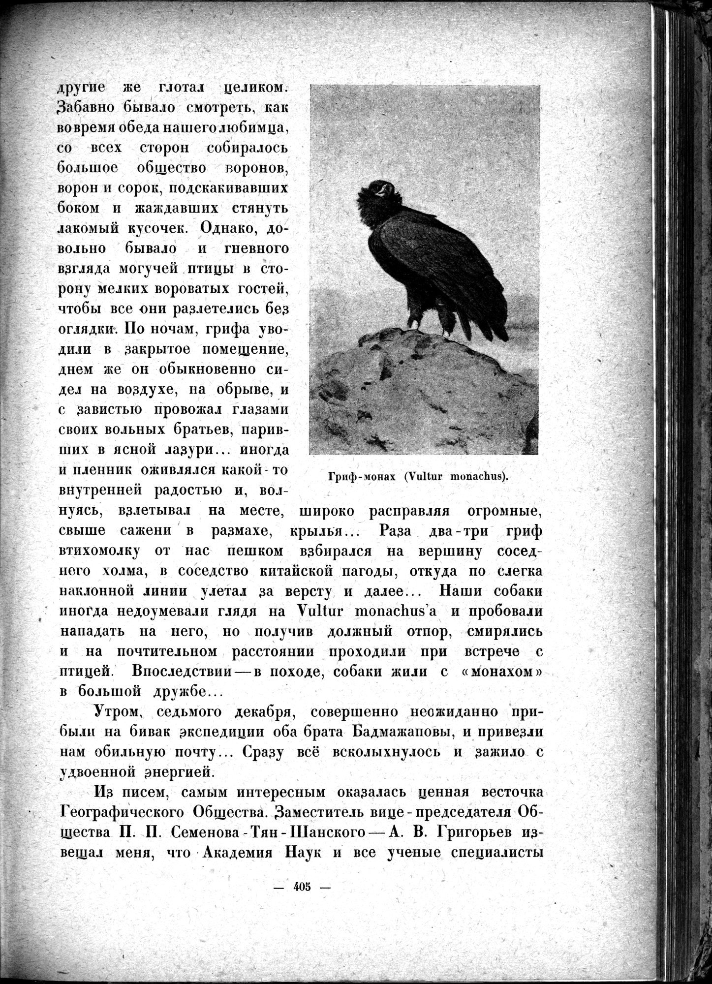Mongoliya i Amdo i mertby gorod Khara-Khoto : vol.1 / 463 ページ（白黒高解像度画像）