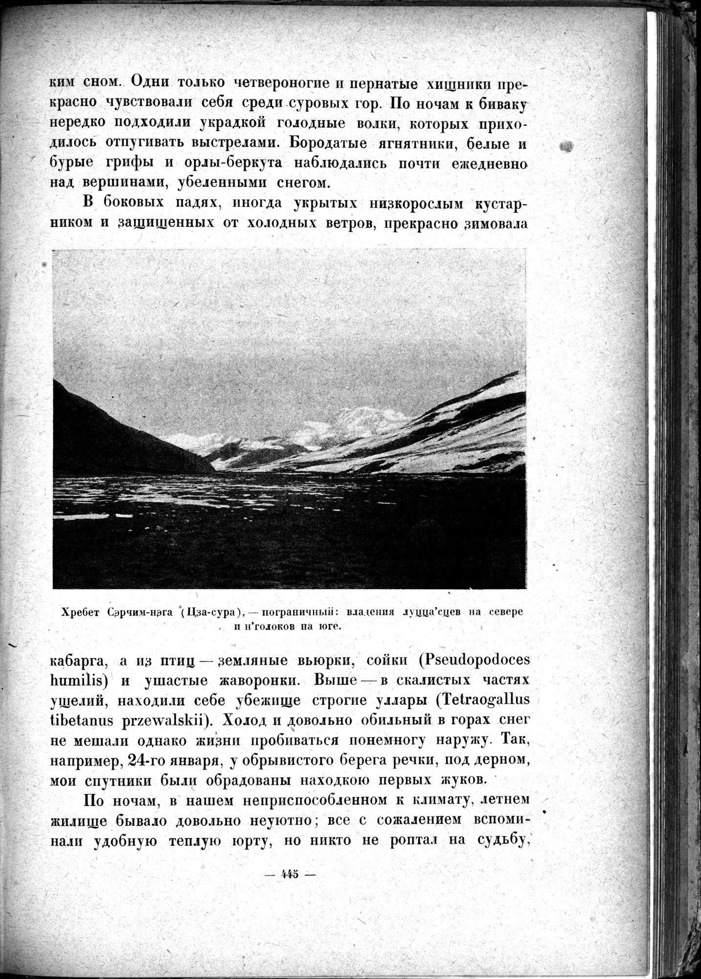 Mongoliya i Amdo i mertby gorod Khara-Khoto : vol.1 / 507 ページ（白黒高解像度画像）