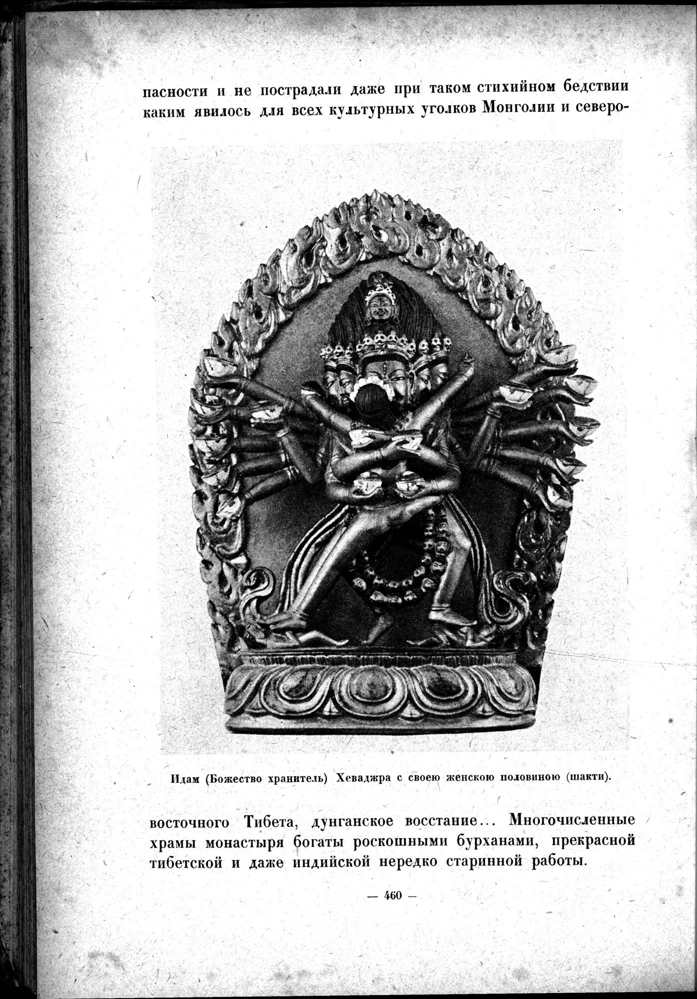 Mongoliya i Amdo i mertby gorod Khara-Khoto : vol.1 / 524 ページ（白黒高解像度画像）