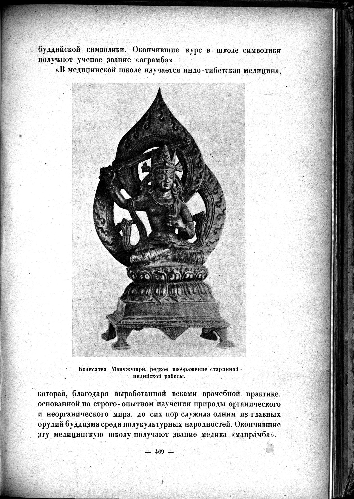 Mongoliya i Amdo i mertby gorod Khara-Khoto : vol.1 / 537 ページ（白黒高解像度画像）
