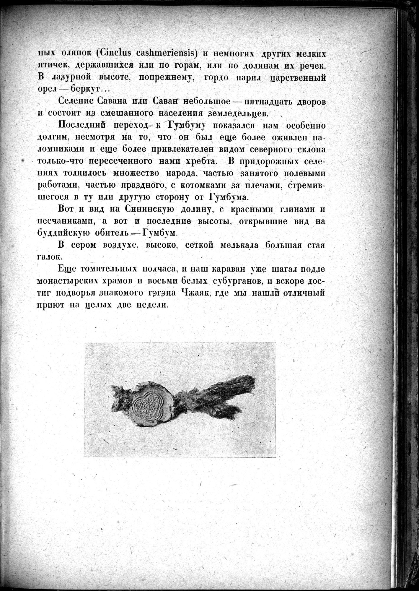 Mongoliya i Amdo i mertby gorod Khara-Khoto : vol.1 / 567 ページ（白黒高解像度画像）