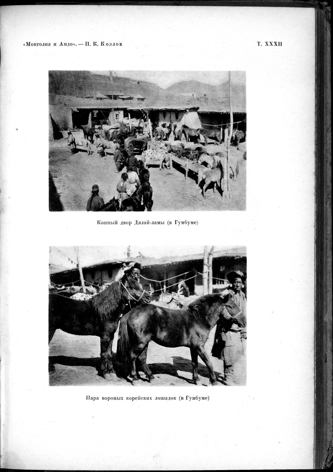 Mongoliya i Amdo i mertby gorod Khara-Khoto : vol.1 / Page 579 (Grayscale High Resolution Image)