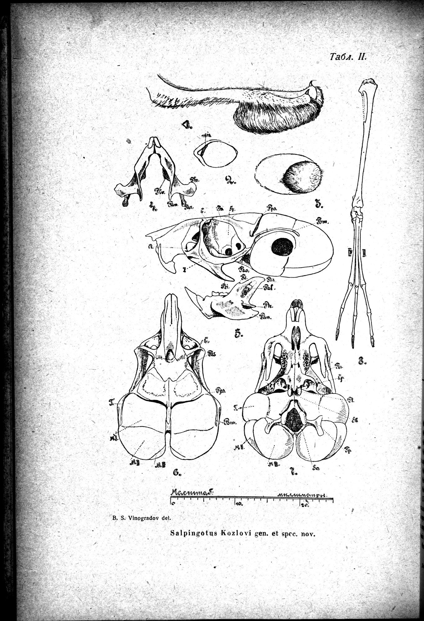 Mongoliya i Amdo i mertby gorod Khara-Khoto : vol.1 / Page 630 (Grayscale High Resolution Image)