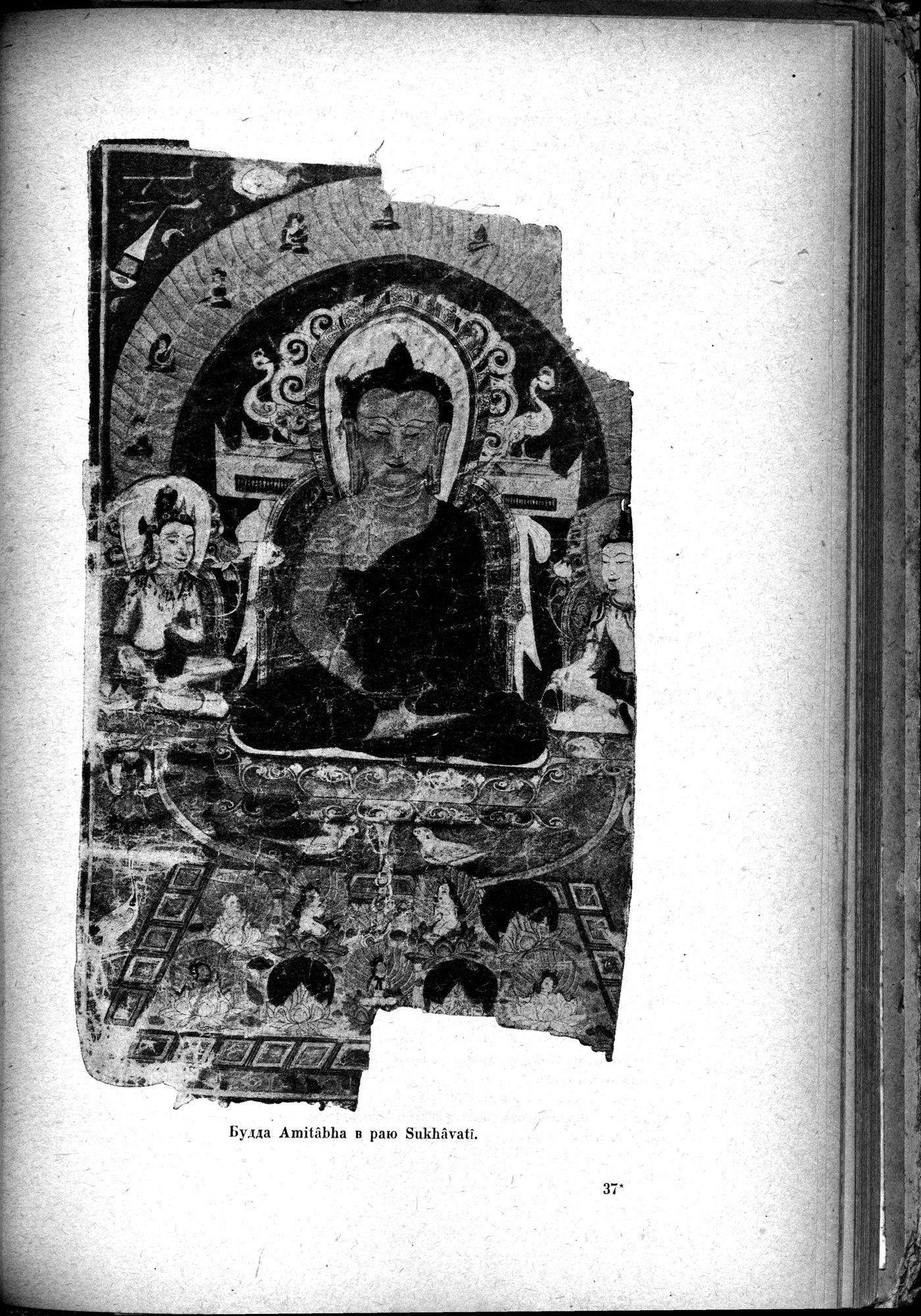 Mongoliya i Amdo i mertby gorod Khara-Khoto : vol.1 / 665 ページ（白黒高解像度画像）
