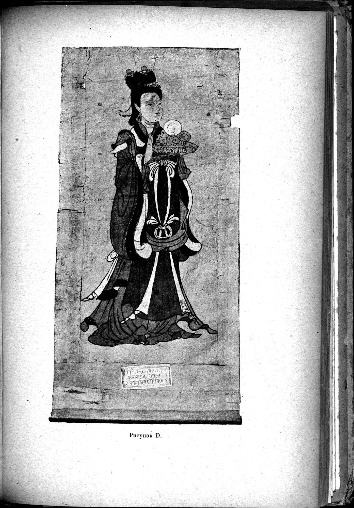 Mongoliya i Amdo i mertby gorod Khara-Khoto : vol.1 / 705 ページ（白黒高解像度画像）