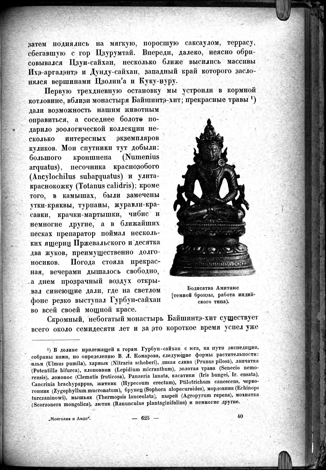 Mongoliya i Amdo i mertby gorod Khara-Khoto : vol.1 / 715 ページ（白黒高解像度画像）