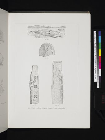 Alt-Altaische Kunstdenkmäler : vol.1 : Page 113