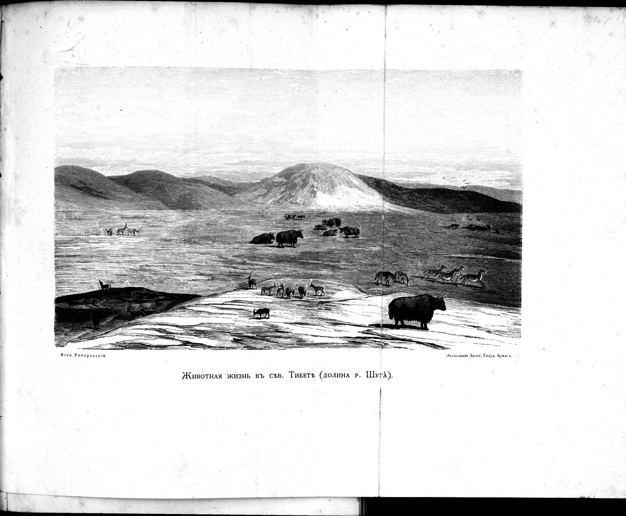 Iz Zaisana Cherez Khami v Tibet i na Verkhov'ya Zheltoi reki : vol.1 / 263 ページ（白黒高解像度画像）