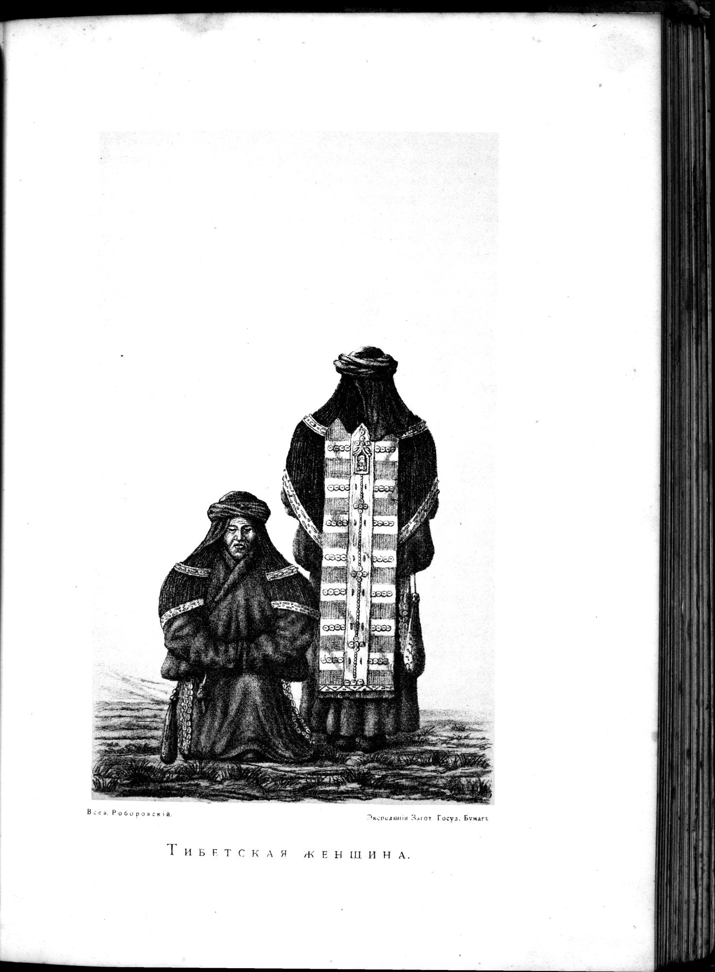 Iz Zaisana Cherez Khami v Tibet i na Verkhov'ya Zheltoi reki : vol.1 / 395 ページ（白黒高解像度画像）