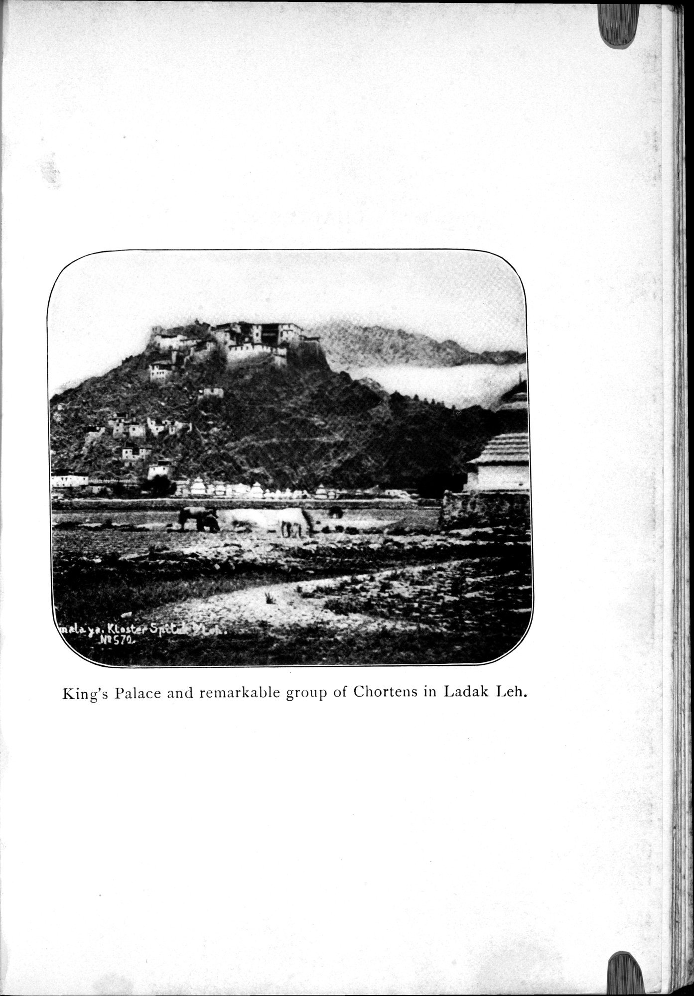 Tibet and Turkestan : vol.1 / 377 ページ（白黒高解像度画像）