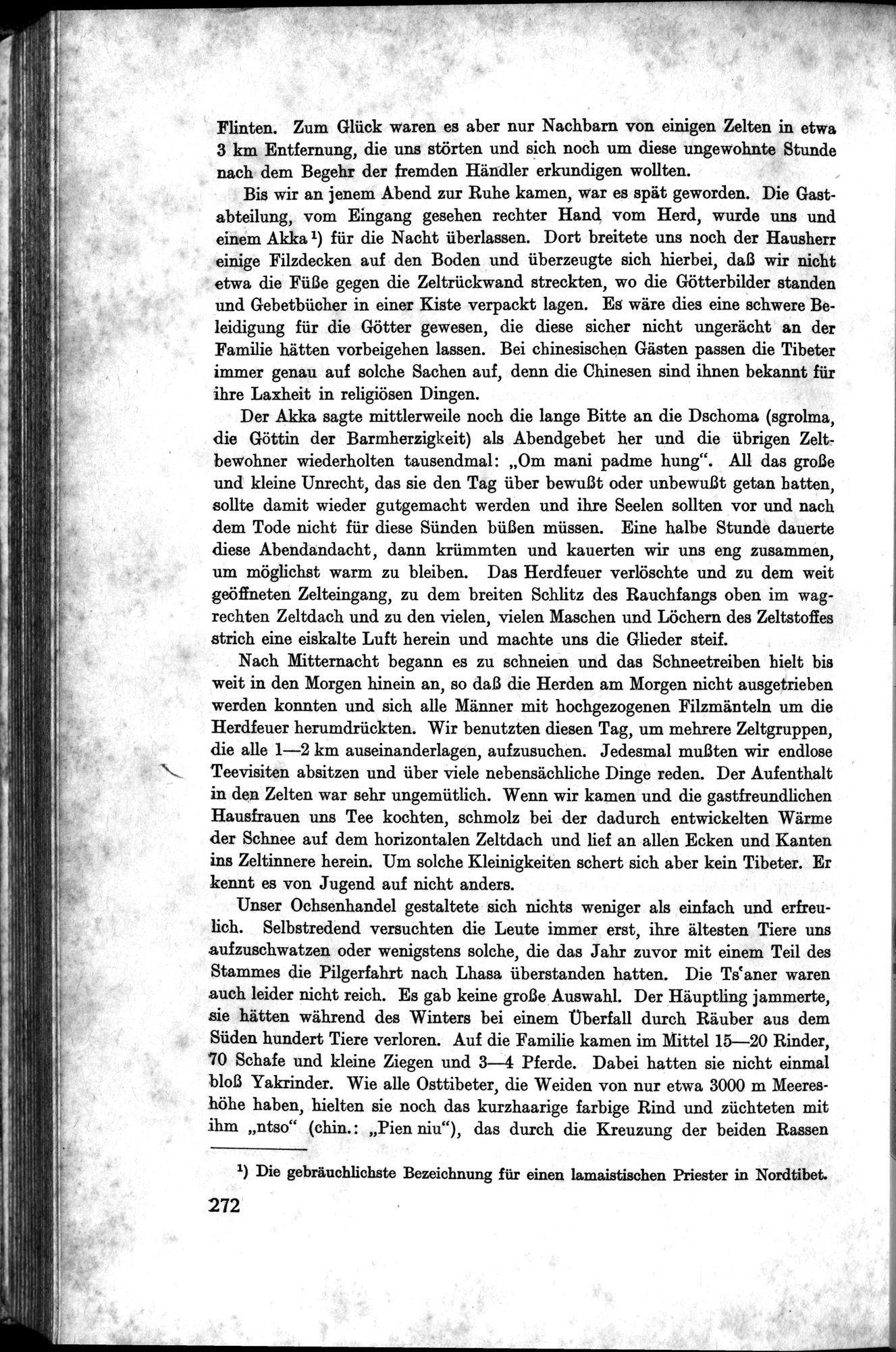 Meine Tibetreise : vol.1 / 346 ページ（白黒高解像度画像）