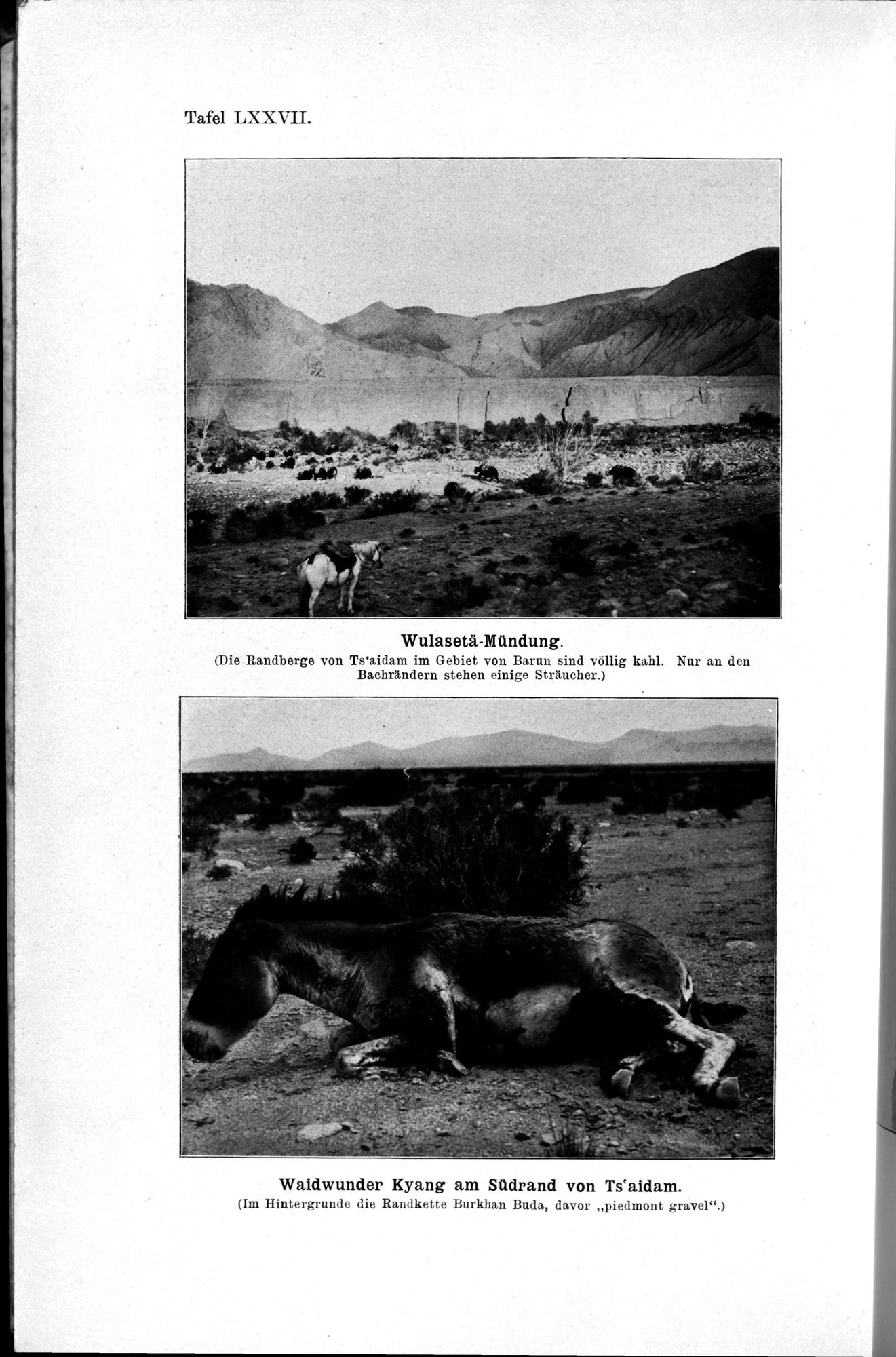 Meine Tibetreise : vol.1 / Page 428 (Grayscale High Resolution Image)
