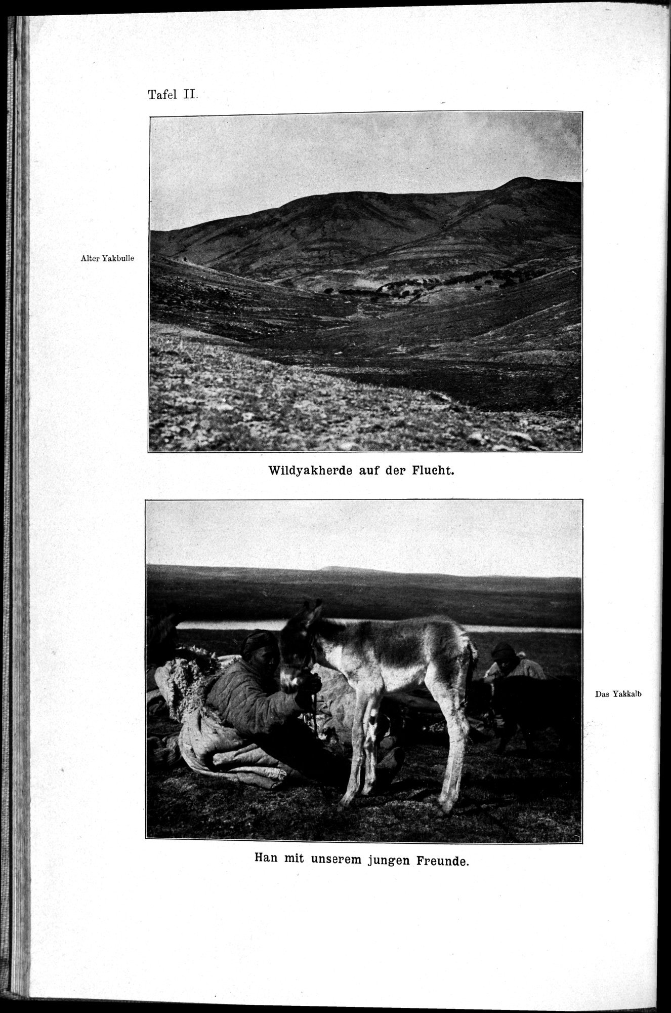 Meine Tibetreise : vol.2 / 28 ページ（白黒高解像度画像）