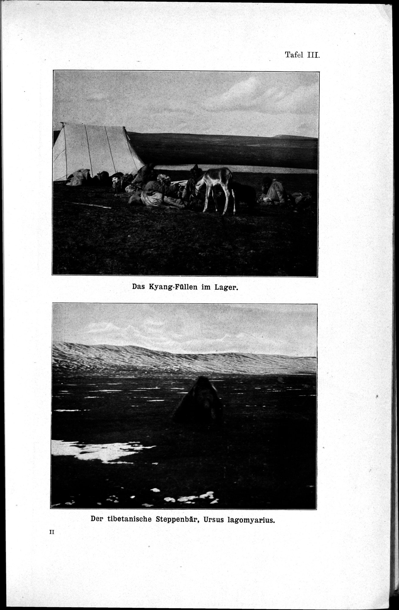 Meine Tibetreise : vol.2 / Page 29 (Grayscale High Resolution Image)