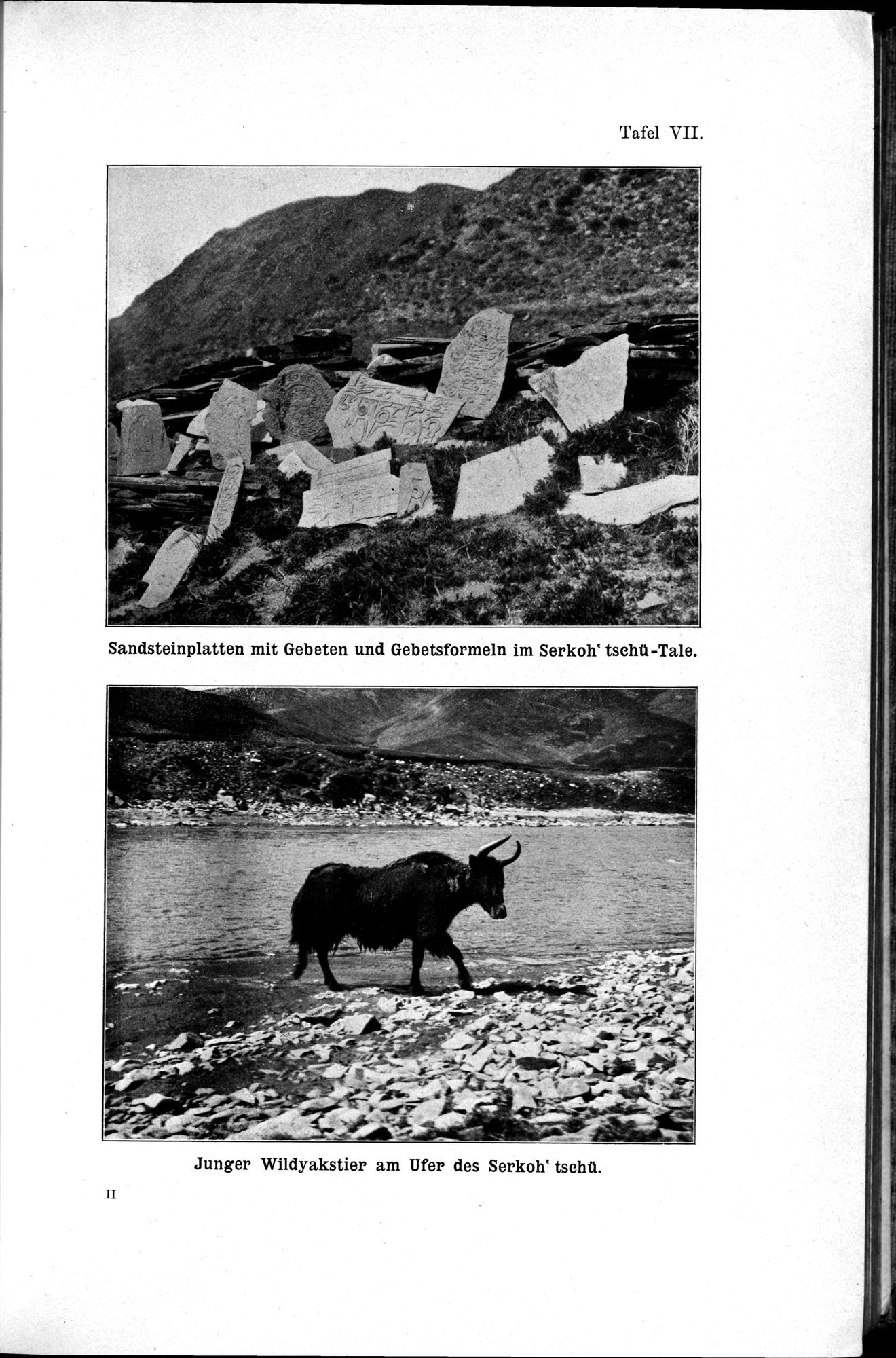 Meine Tibetreise : vol.2 / Page 41 (Grayscale High Resolution Image)
