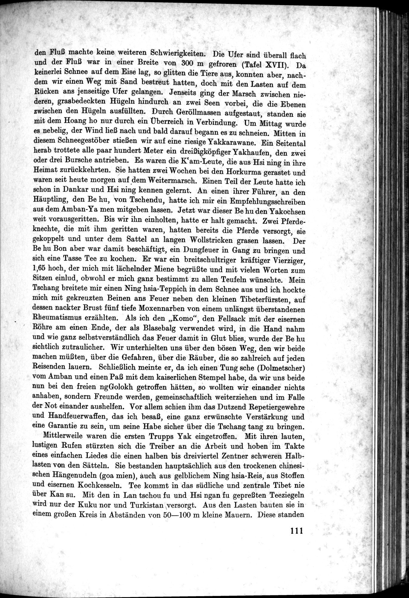 Meine Tibetreise : vol.2 / Page 141 (Grayscale High Resolution Image)
