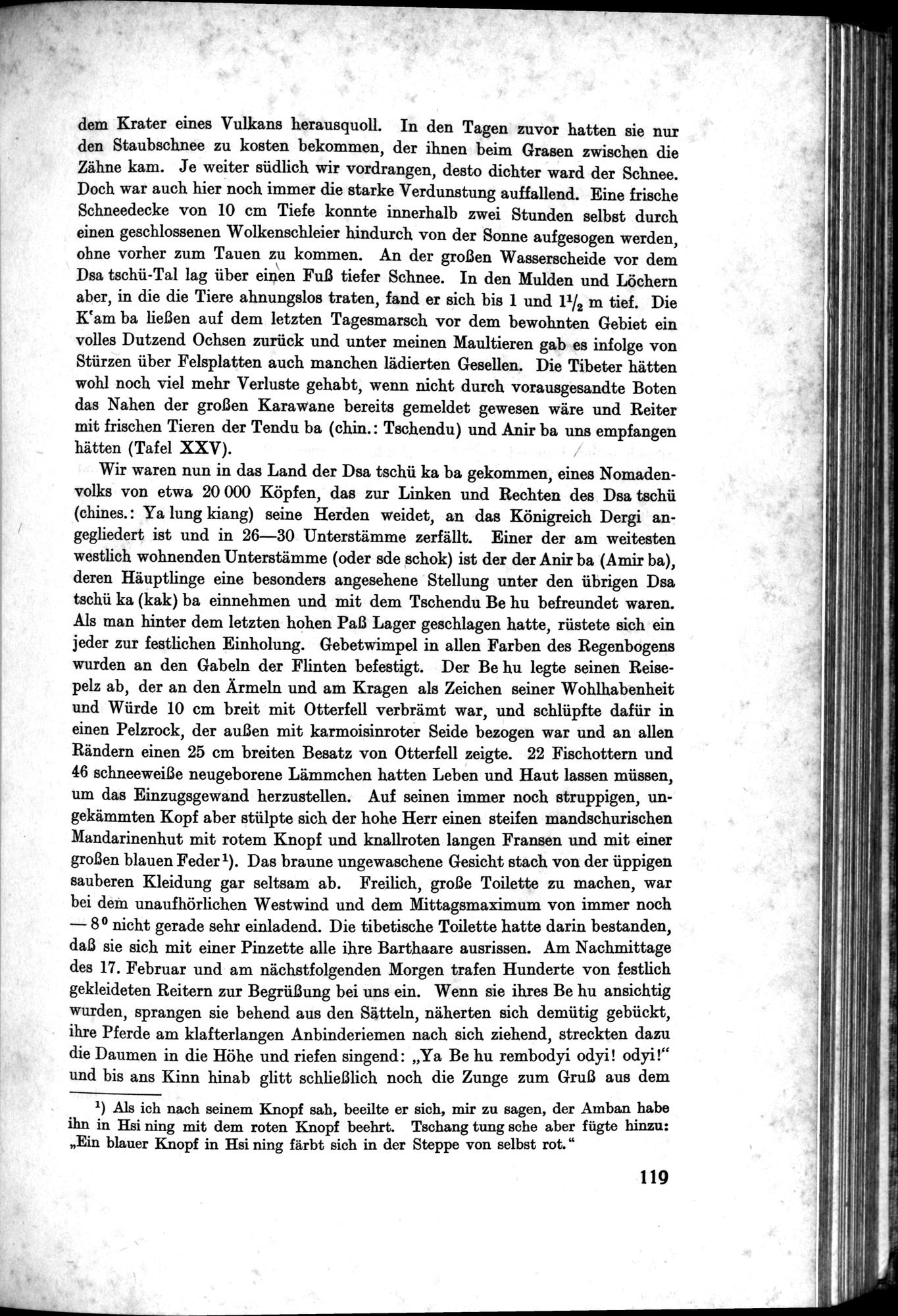 Meine Tibetreise : vol.2 / Page 153 (Grayscale High Resolution Image)