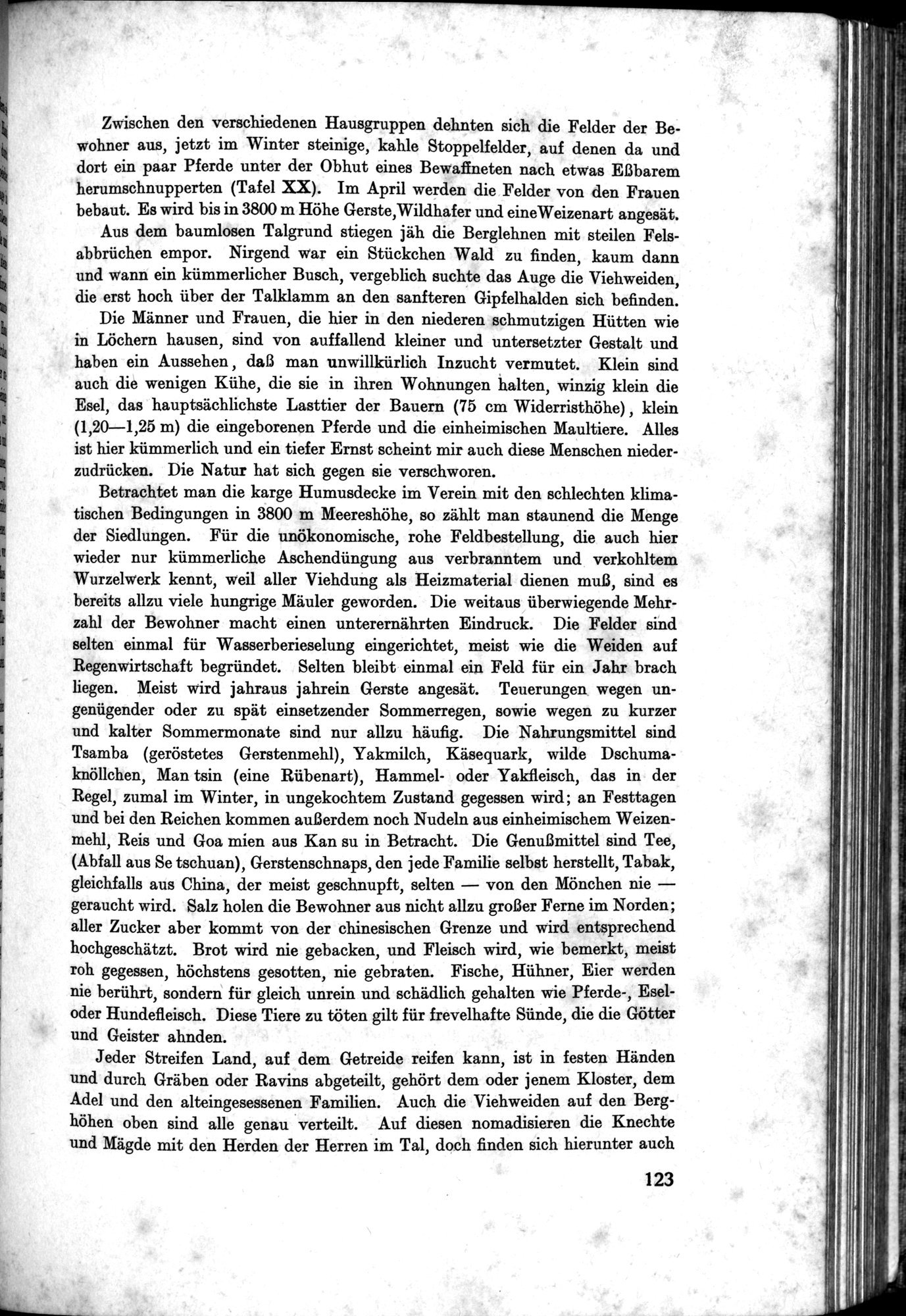 Meine Tibetreise : vol.2 / Page 161 (Grayscale High Resolution Image)