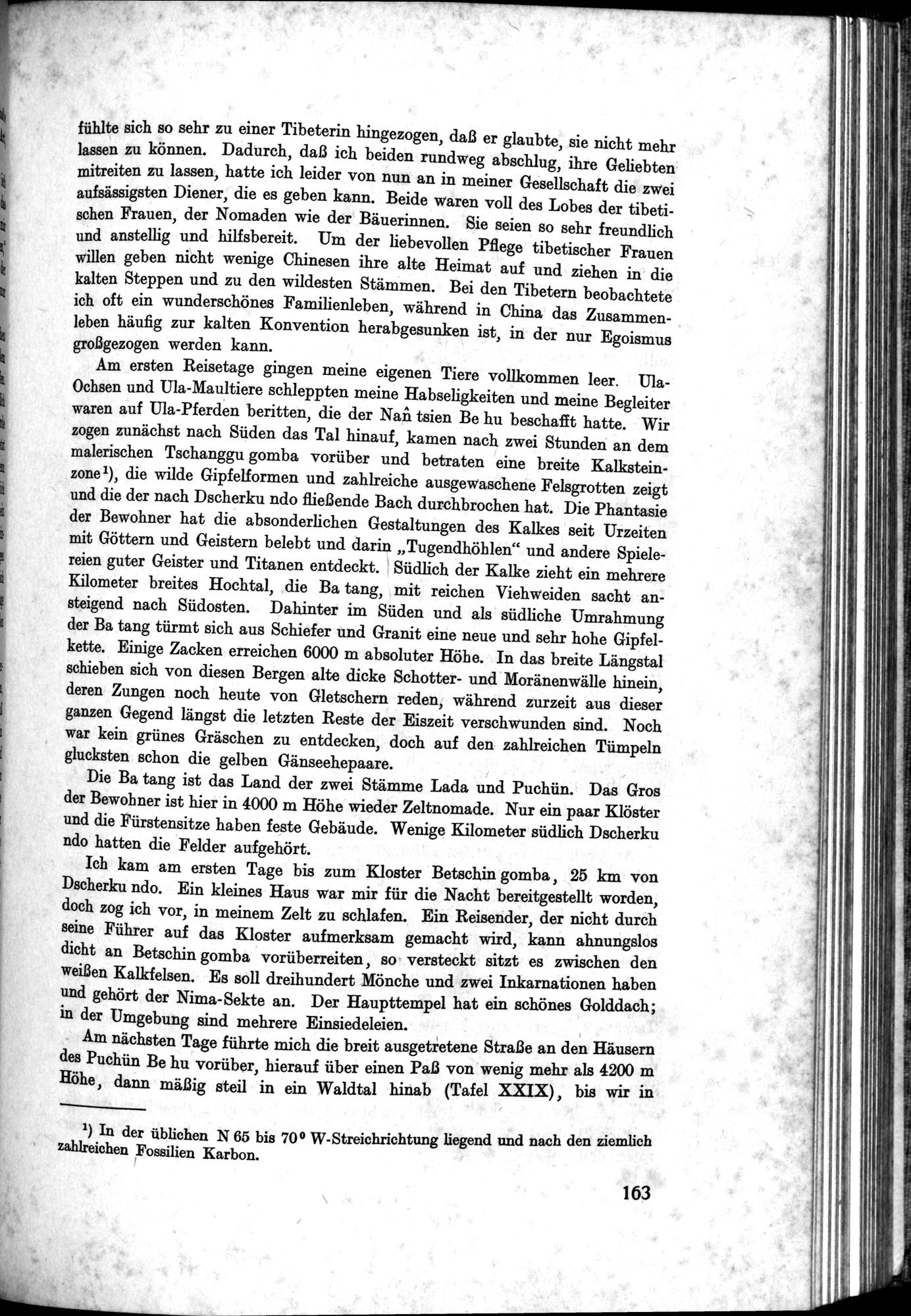 Meine Tibetreise : vol.2 / Page 205 (Grayscale High Resolution Image)