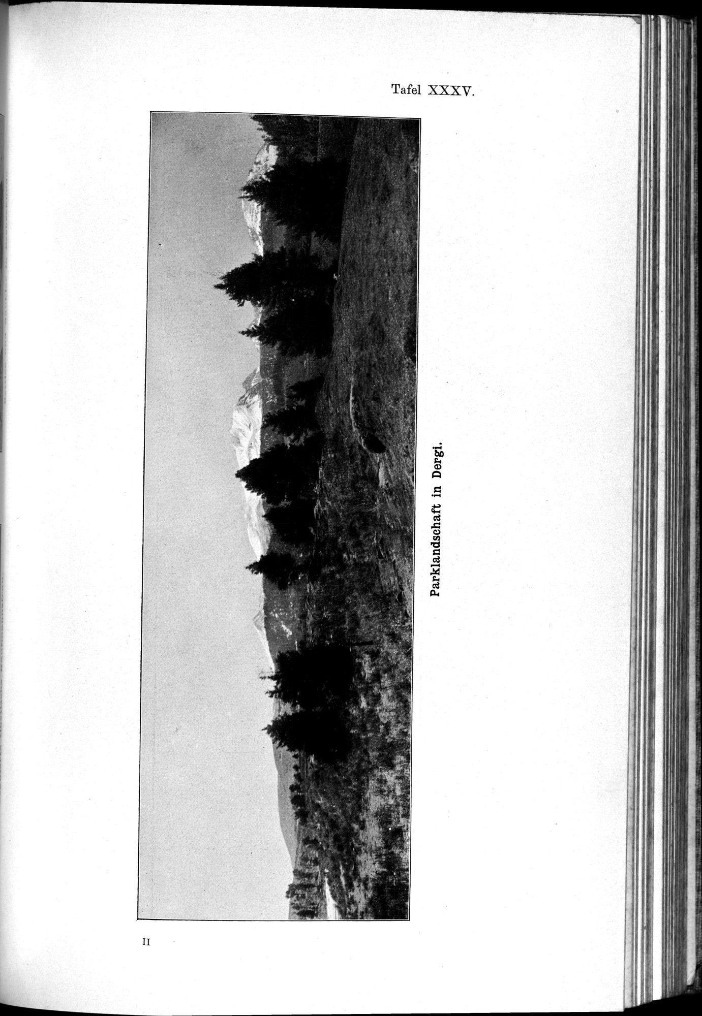 Meine Tibetreise : vol.2 / Page 213 (Grayscale High Resolution Image)