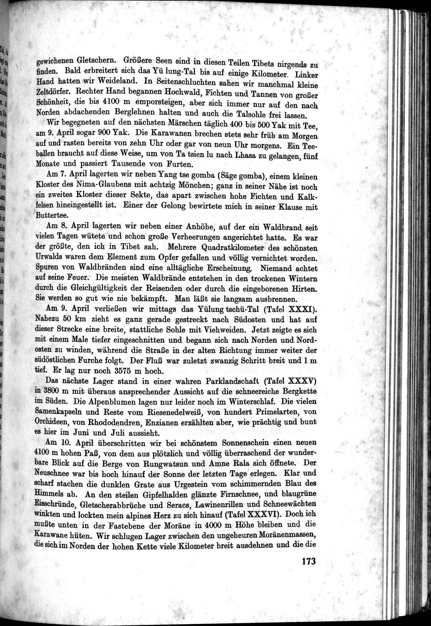 Meine Tibetreise : vol.2 / Page 219 (Grayscale High Resolution Image)
