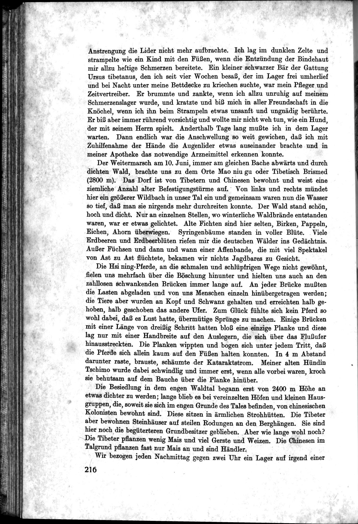 Meine Tibetreise : vol.2 / Page 274 (Grayscale High Resolution Image)