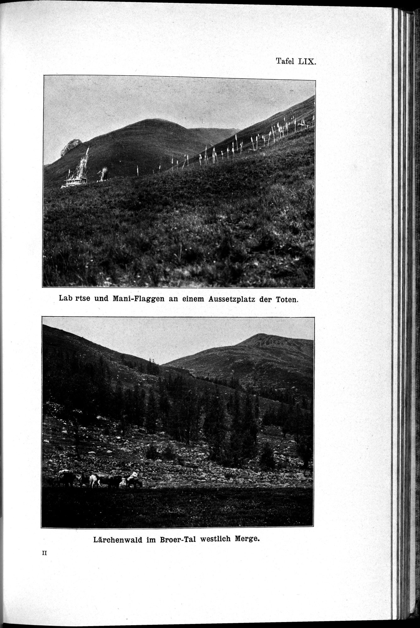 Meine Tibetreise : vol.2 / Page 309 (Grayscale High Resolution Image)
