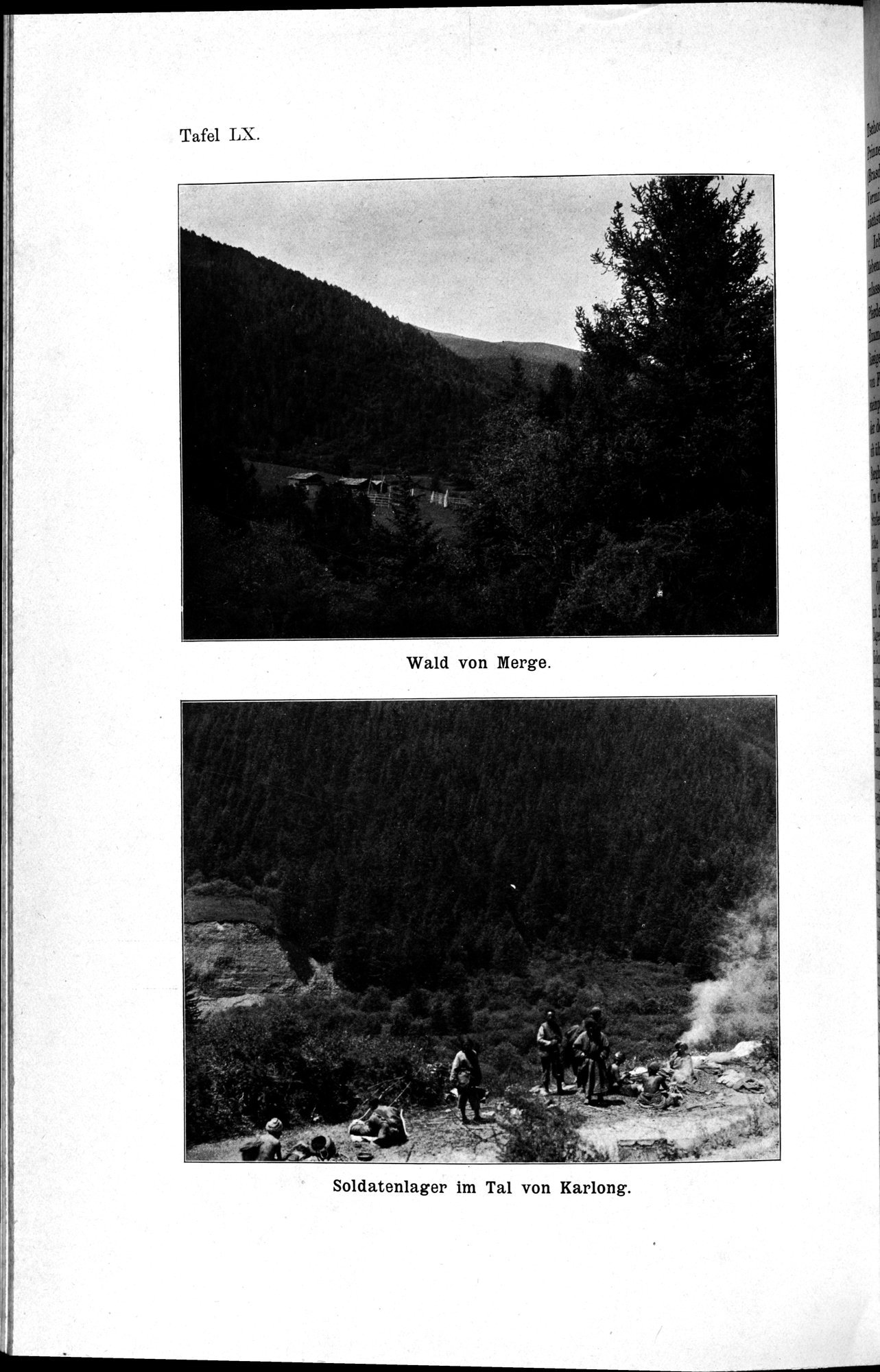 Meine Tibetreise : vol.2 / Page 310 (Grayscale High Resolution Image)