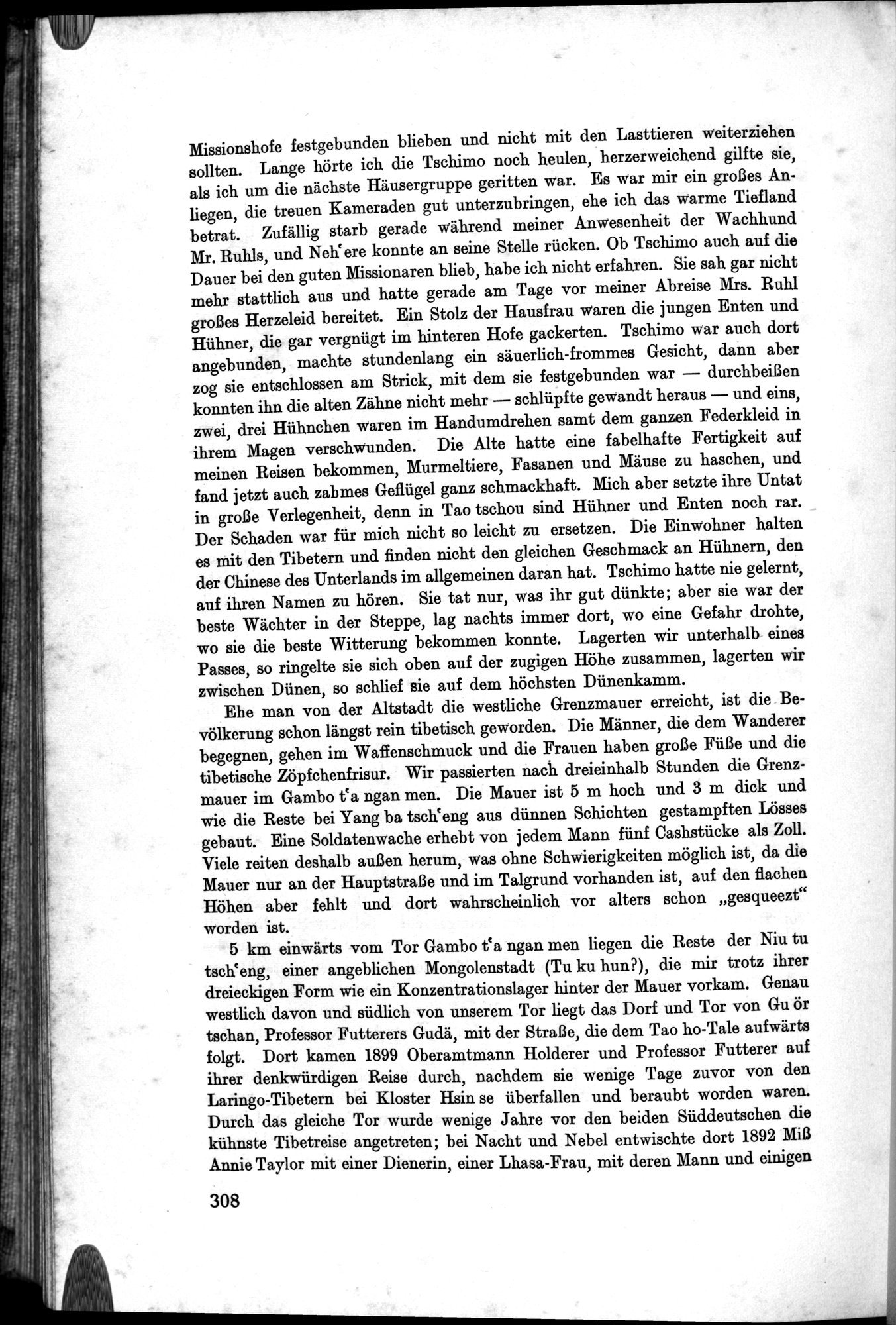 Meine Tibetreise : vol.2 / Page 388 (Grayscale High Resolution Image)