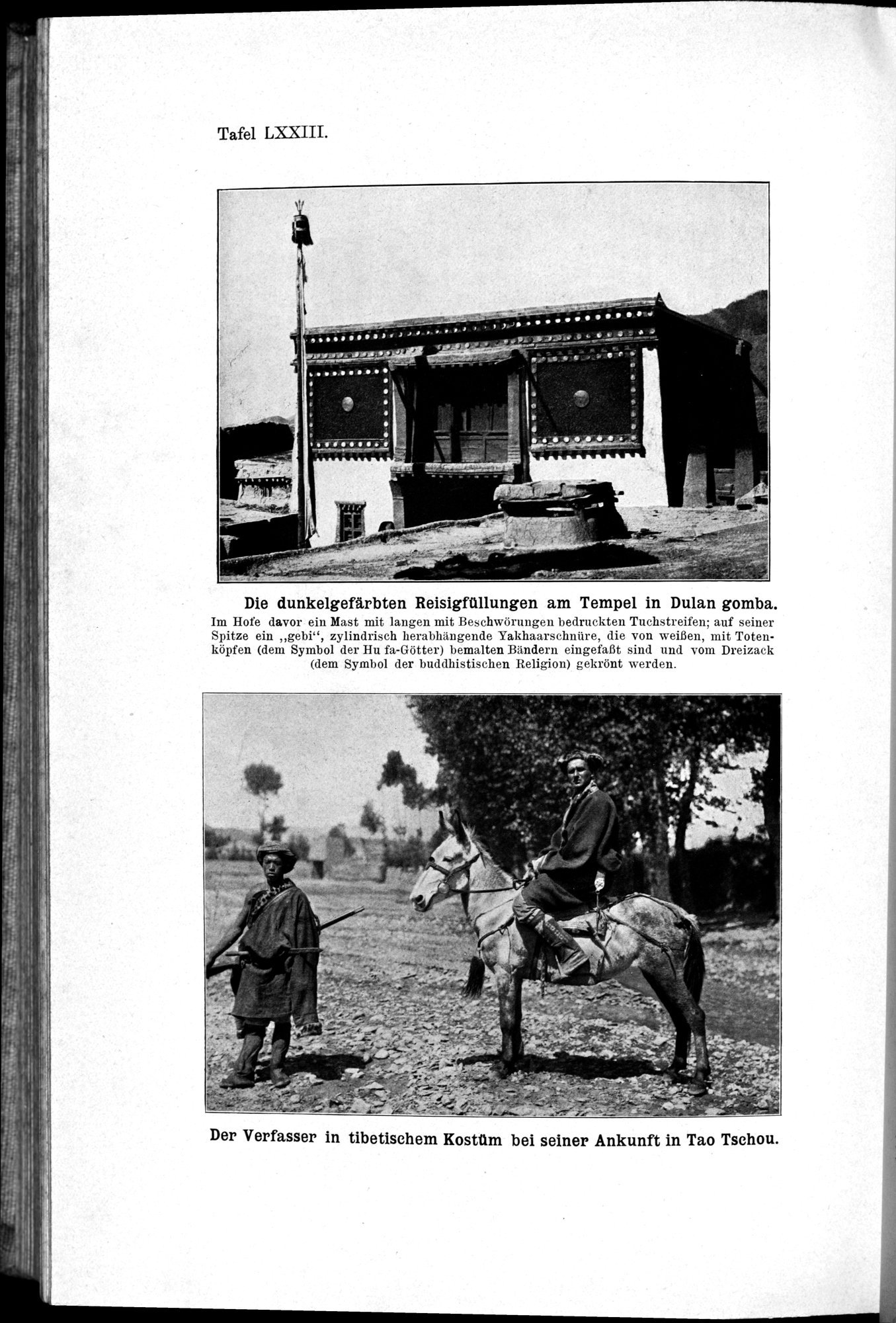 Meine Tibetreise : vol.2 / 396 ページ（白黒高解像度画像）