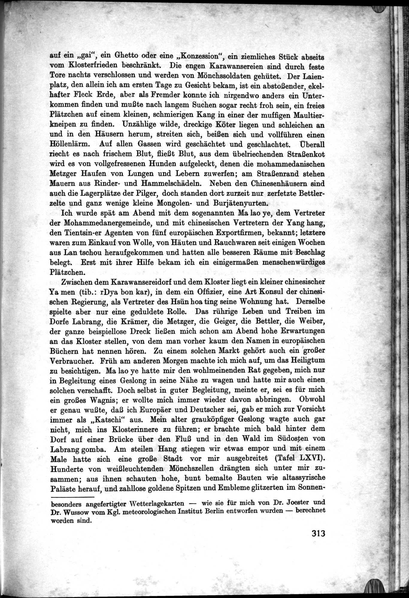 Meine Tibetreise : vol.2 / 397 ページ（白黒高解像度画像）