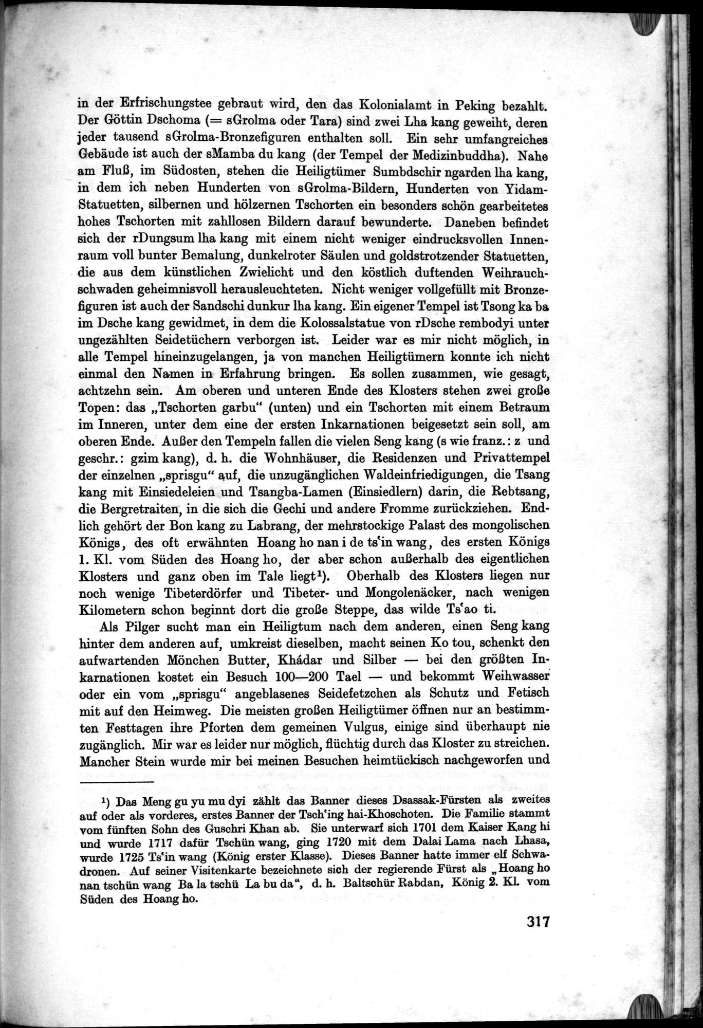 Meine Tibetreise : vol.2 / Page 401 (Grayscale High Resolution Image)
