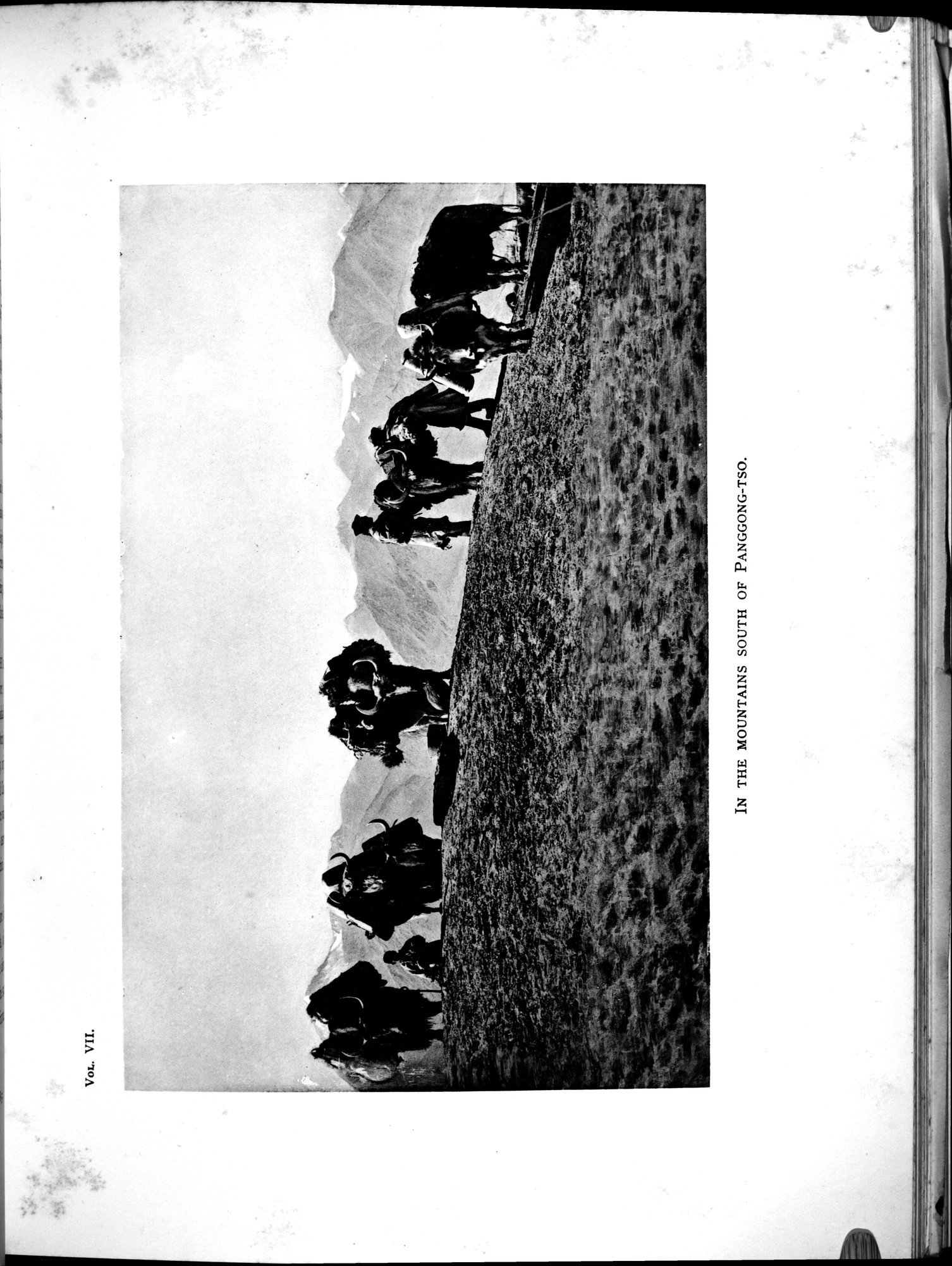 Southern Tibet : vol.7 / 719 ページ（白黒高解像度画像）