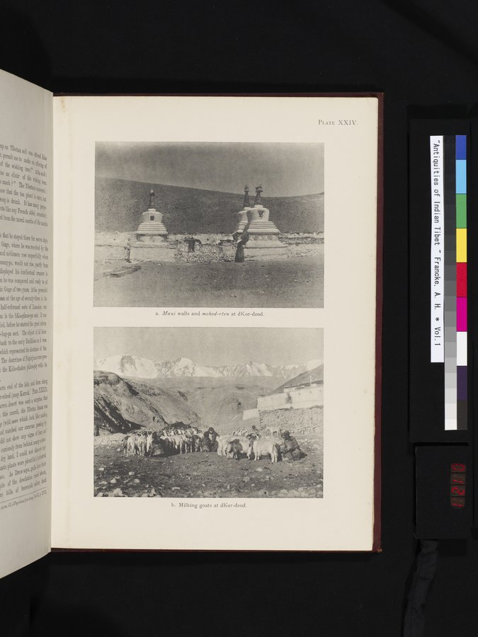 Antiquities of Indian Tibet : vol.1 / 121 ページ（カラー画像）