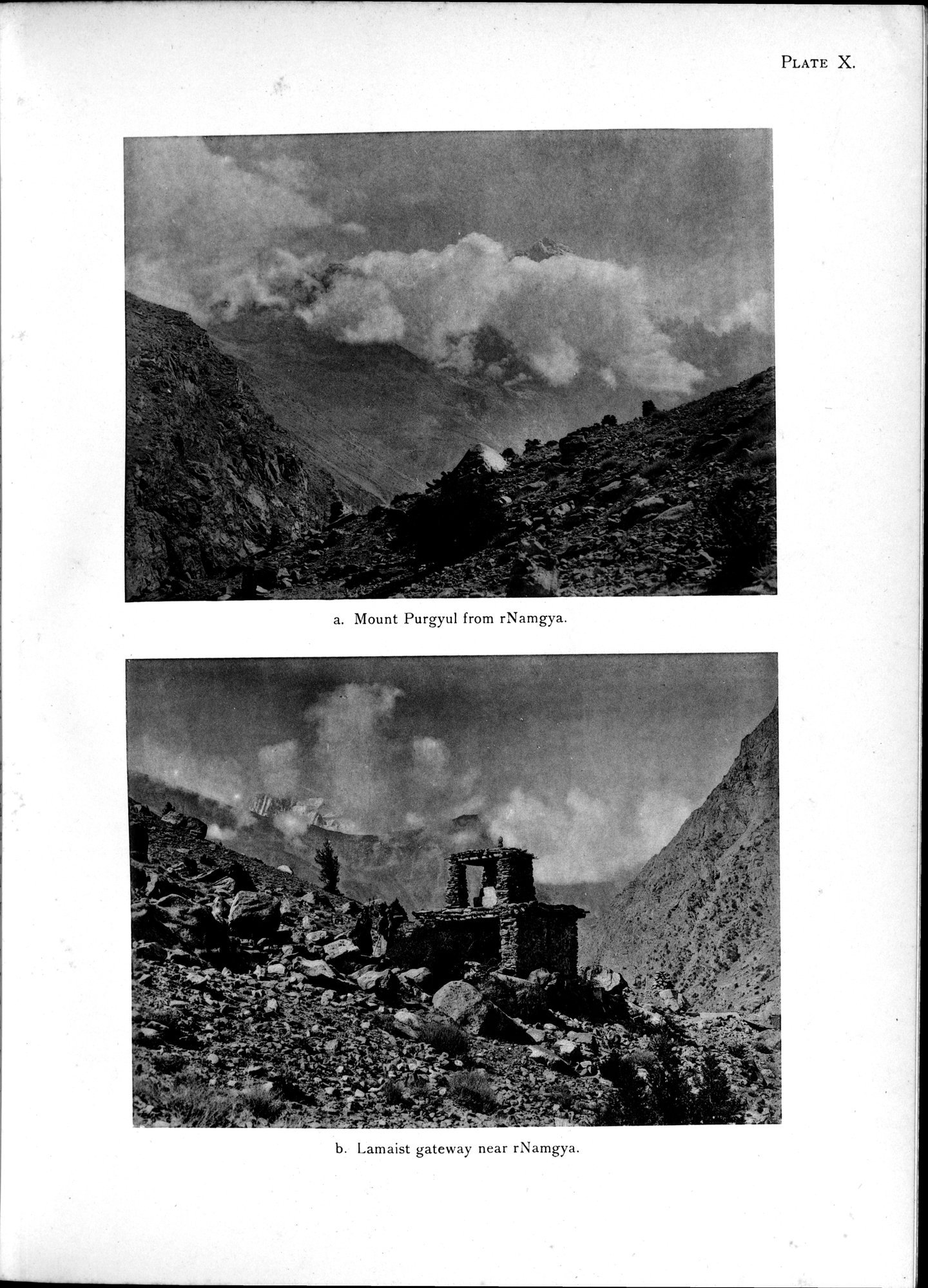 Antiquities of Indian Tibet : vol.1 / 65 ページ（白黒高解像度画像）