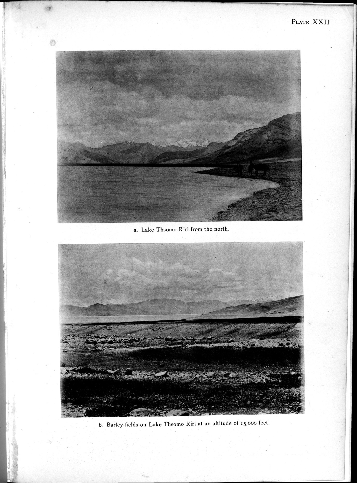 Antiquities of Indian Tibet : vol.1 / 113 ページ（白黒高解像度画像）