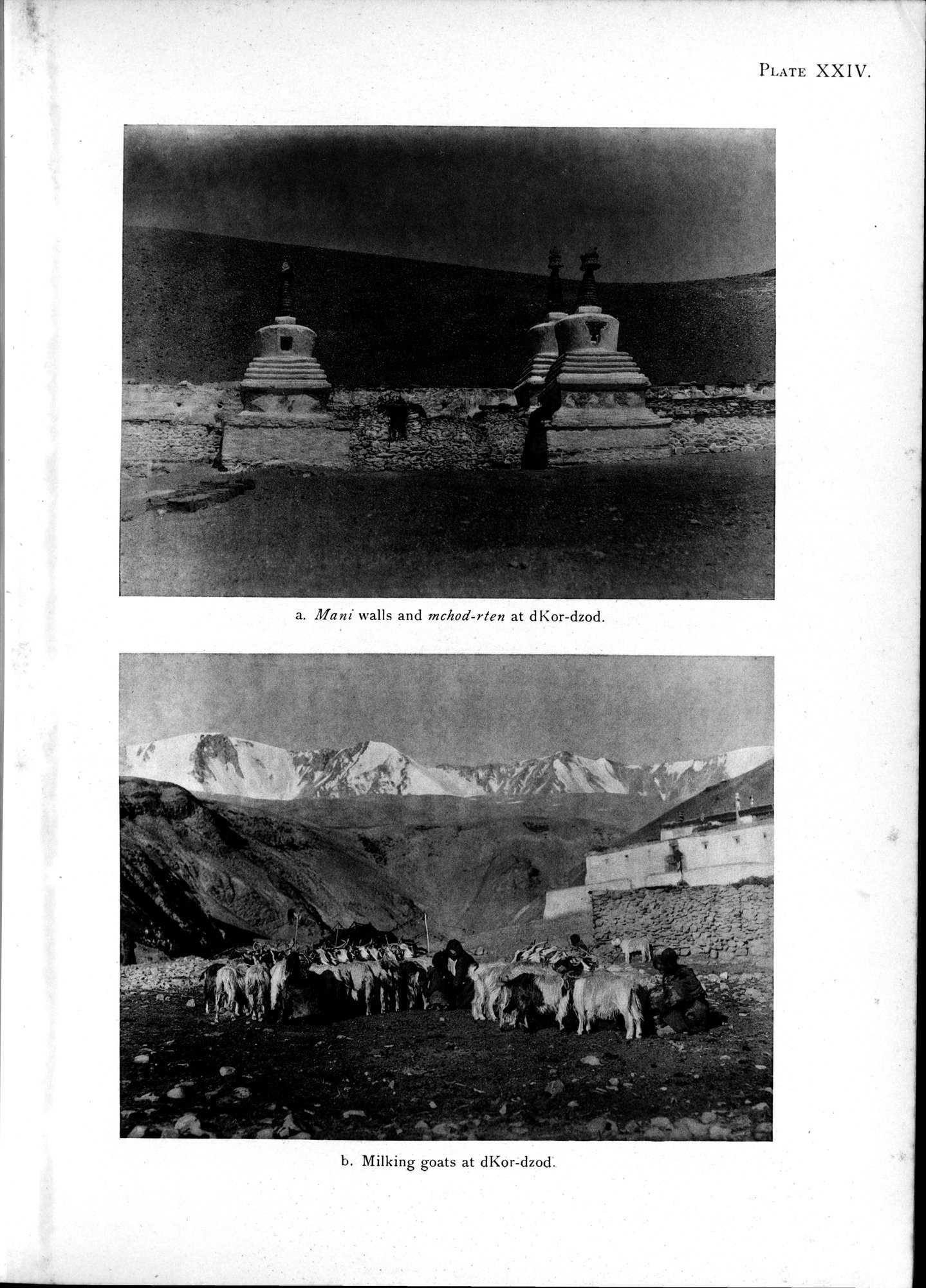 Antiquities of Indian Tibet : vol.1 / 121 ページ（白黒高解像度画像）