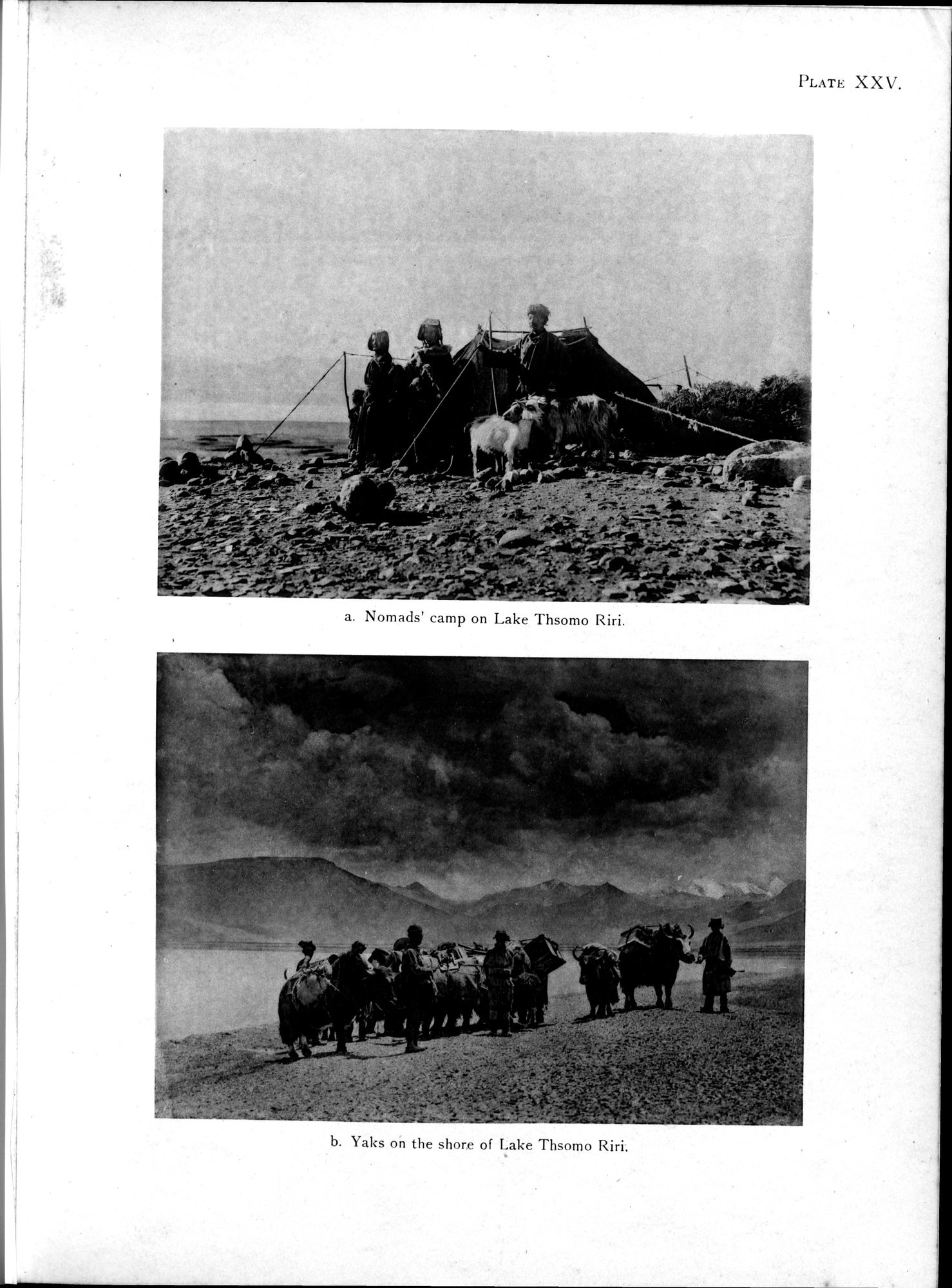 Antiquities of Indian Tibet : vol.1 / 125 ページ（白黒高解像度画像）