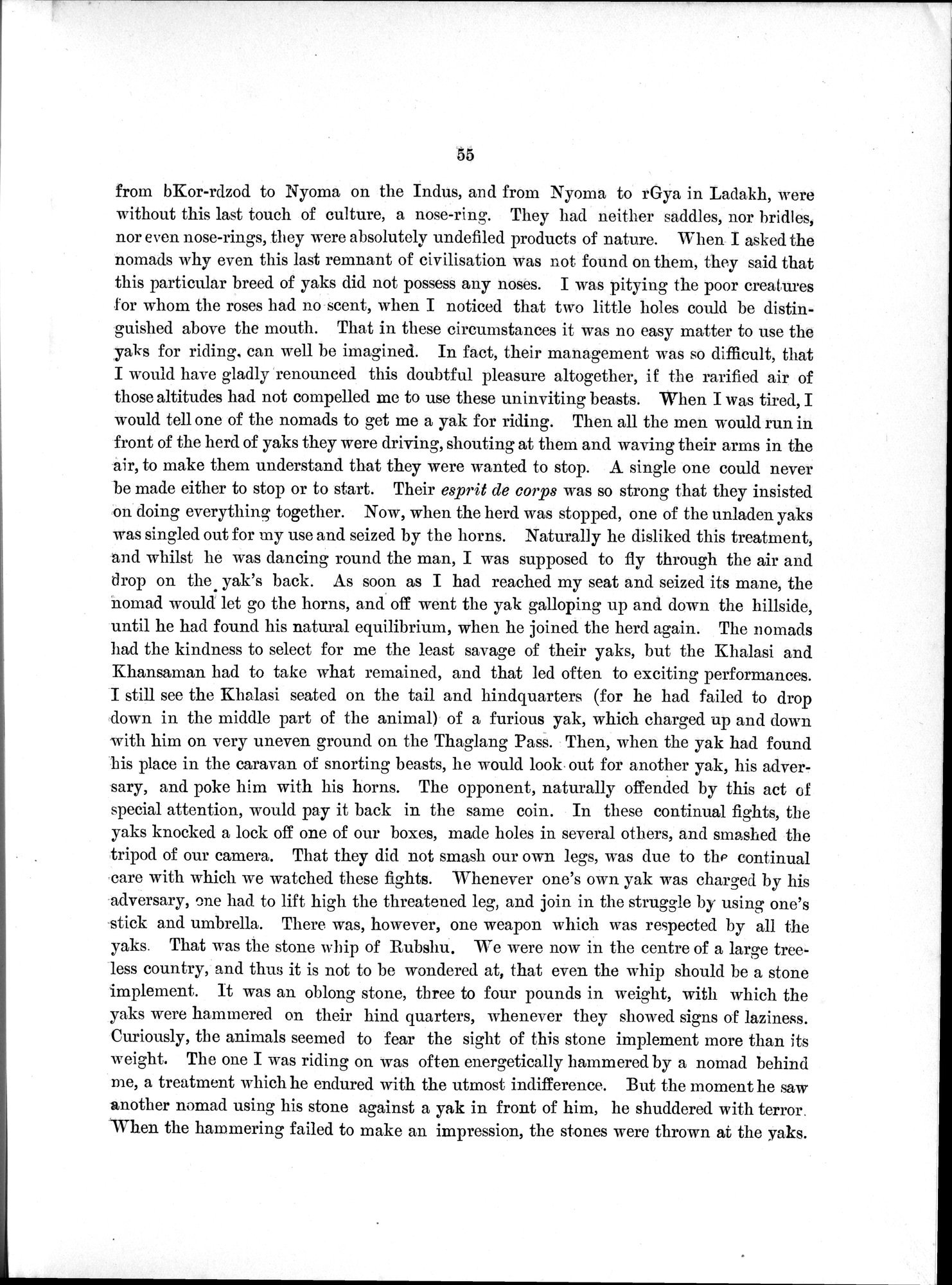 Antiquities of Indian Tibet : vol.1 / 127 ページ（白黒高解像度画像）