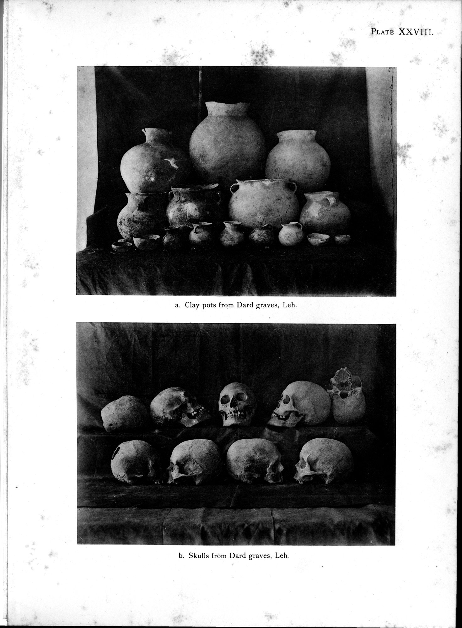 Antiquities of Indian Tibet : vol.1 / 147 ページ（白黒高解像度画像）
