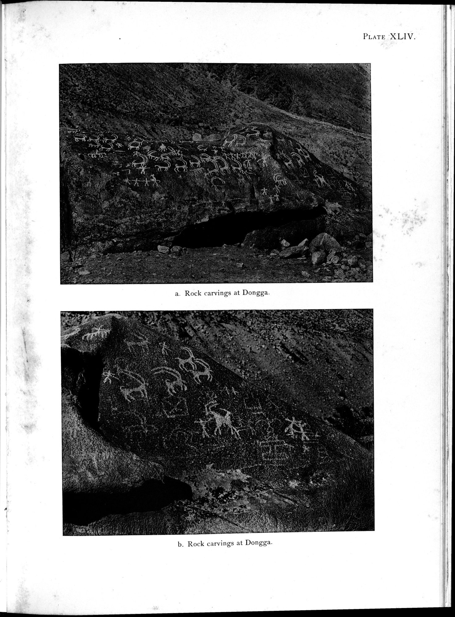 Antiquities of Indian Tibet : vol.1 / 213 ページ（白黒高解像度画像）