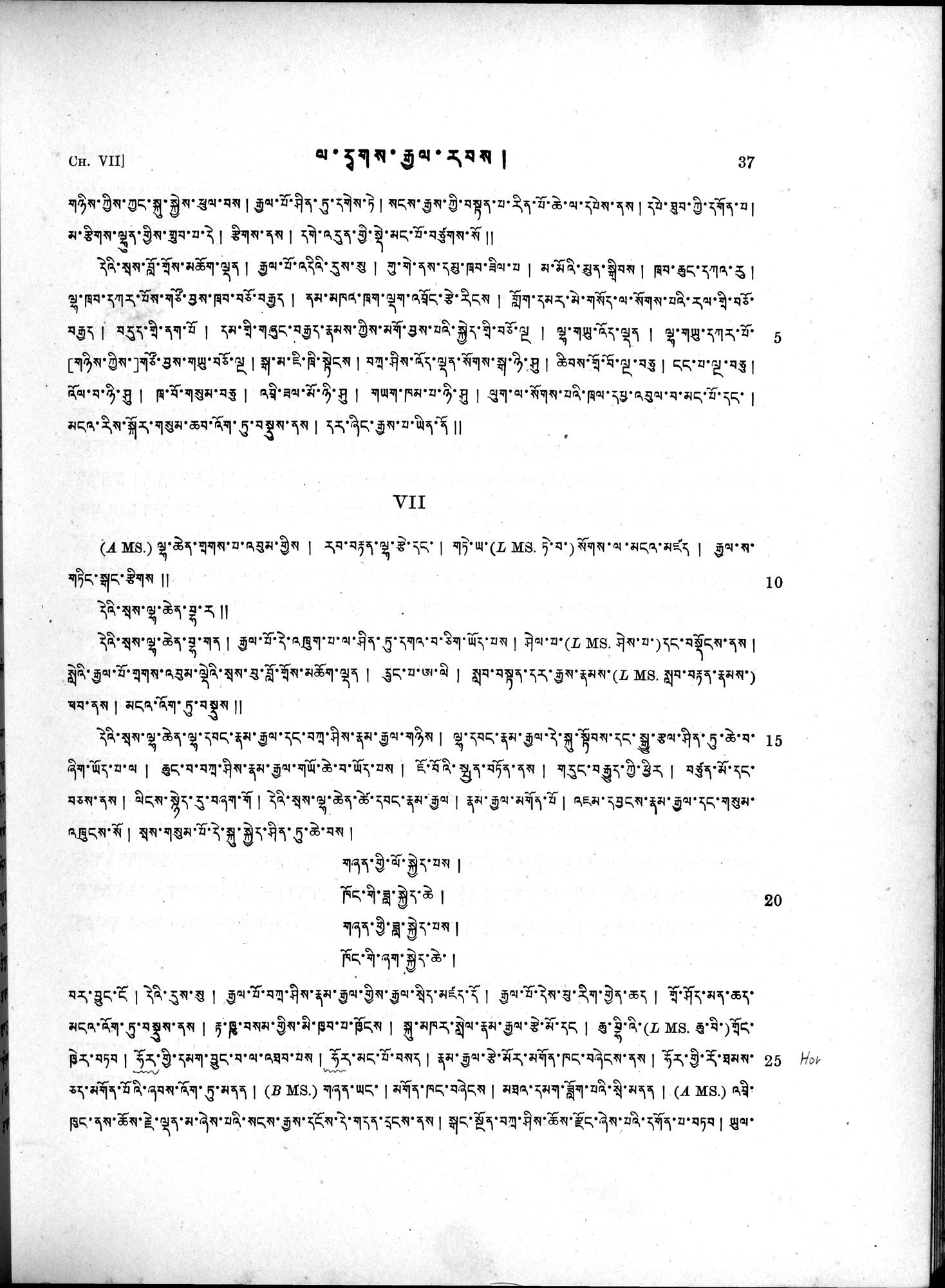 Antiquities of Indian Tibet : vol.2 / 51 ページ（白黒高解像度画像）
