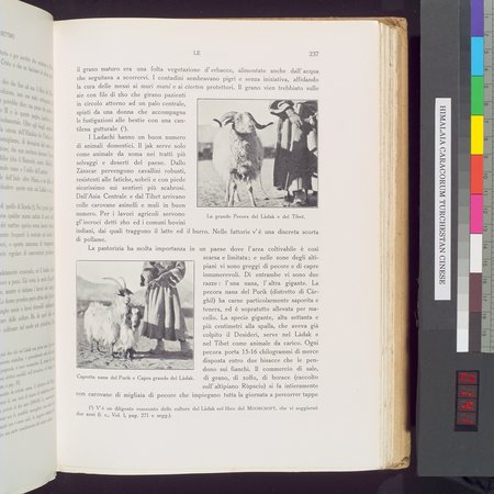 Storia della Spedizione Scientifica Italiana nel Himàlaia, Caracorùm e Turchestàn Cinese(1913-1914) : vol.1 : Page 281
