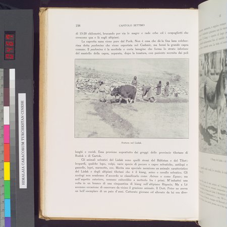 Storia della Spedizione Scientifica Italiana nel Himàlaia, Caracorùm e Turchestàn Cinese(1913-1914) : vol.1 : Page 282