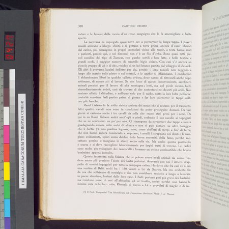 Storia della Spedizione Scientifica Italiana nel Himàlaia, Caracorùm e Turchestàn Cinese(1913-1914) : vol.1 : Page 366