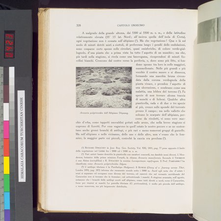 Storia della Spedizione Scientifica Italiana nel Himàlaia, Caracorùm e Turchestàn Cinese(1913-1914) : vol.1 : Page 378