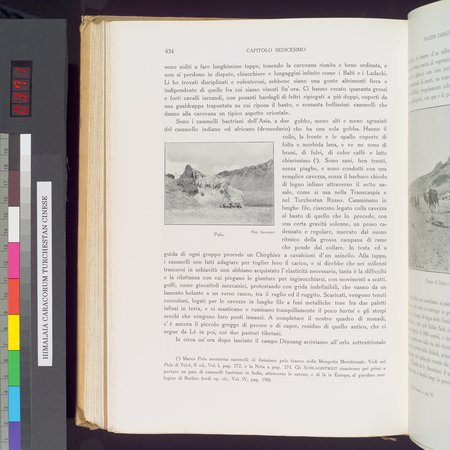 Storia della Spedizione Scientifica Italiana nel Himàlaia, Caracorùm e Turchestàn Cinese(1913-1914) : vol.1 : Page 514