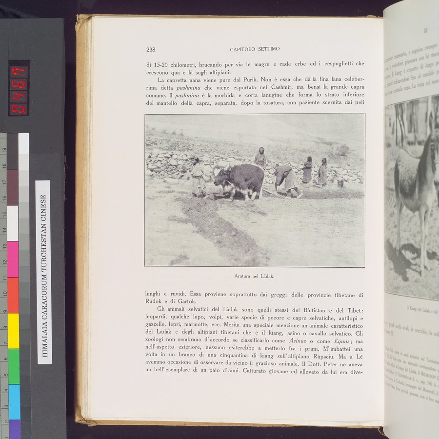 Storia della Spedizione Scientifica Italiana nel Himàlaia, Caracorùm e Turchestàn Cinese(1913-1914) : vol.1 / Page 282 (Color Image)