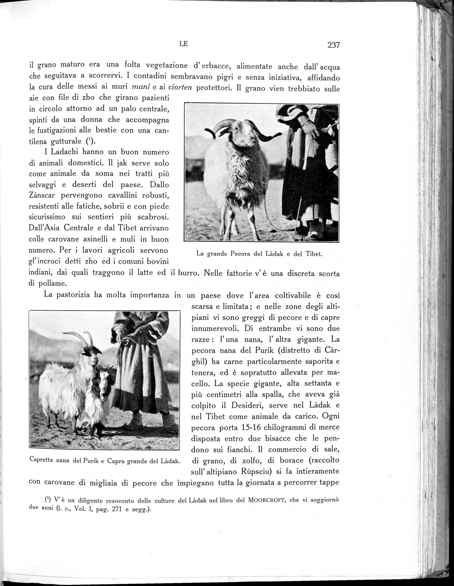 Storia della Spedizione Scientifica Italiana nel Himàlaia, Caracorùm e Turchestàn Cinese(1913-1914) : vol.1 / Page 281 (Grayscale High Resolution Image)